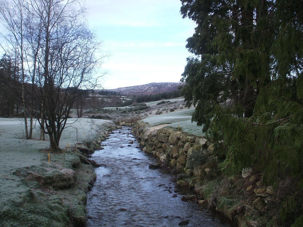 Macreddin Rock Bed & Breakfast Aughrim Exterior photo