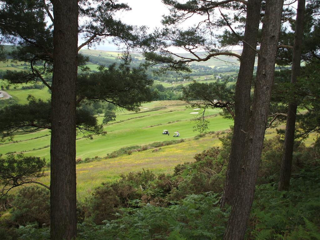 Macreddin Rock Bed & Breakfast Aughrim Exterior photo