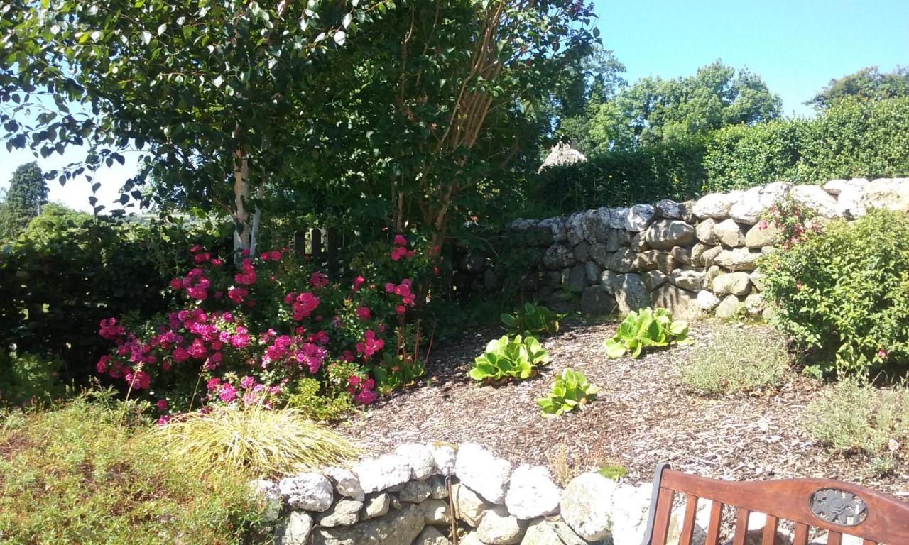 Macreddin Rock Bed & Breakfast Aughrim Exterior photo