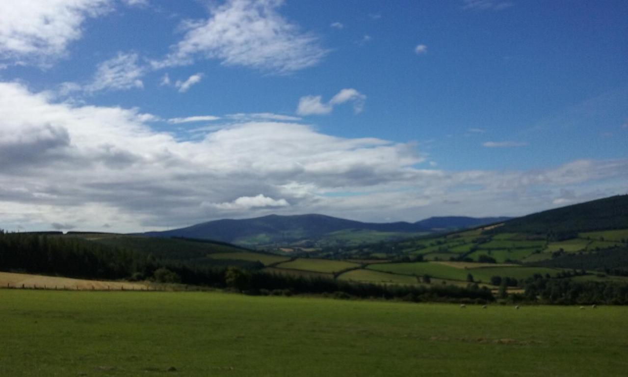 Macreddin Rock Bed & Breakfast Aughrim Exterior photo