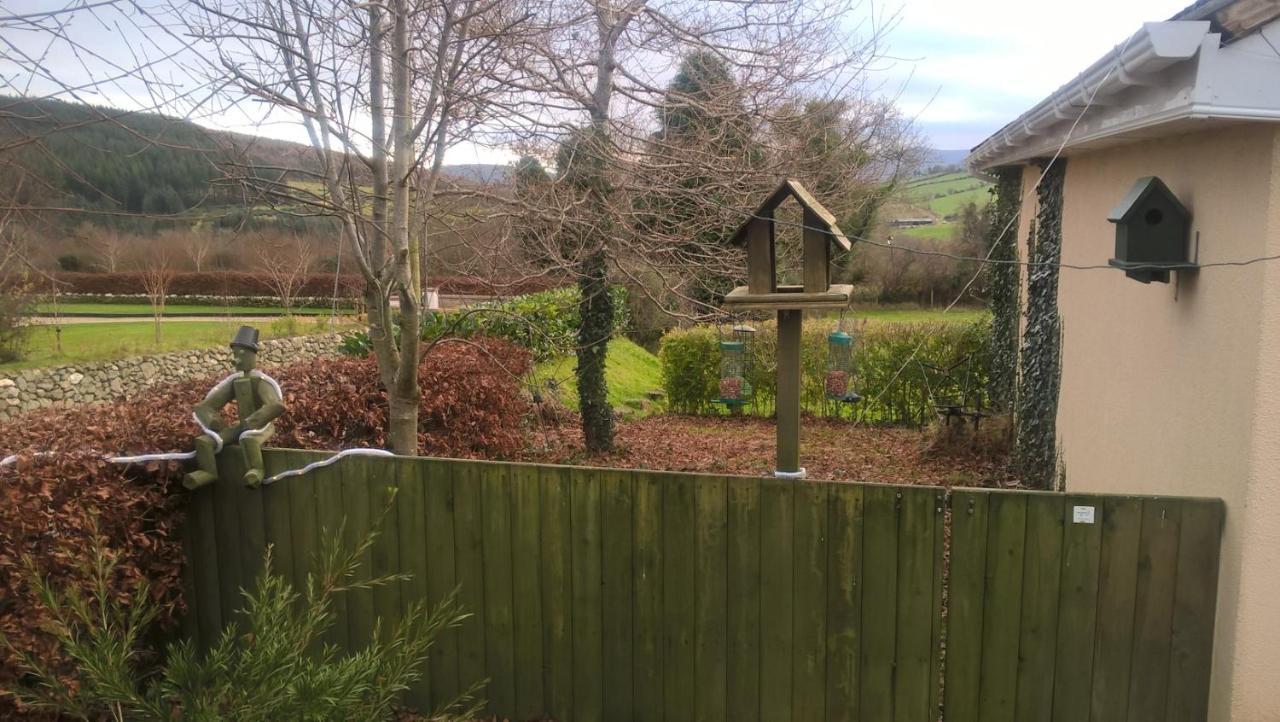 Macreddin Rock Bed & Breakfast Aughrim Exterior photo