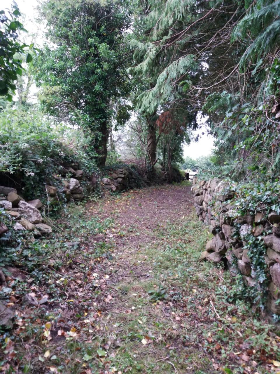Macreddin Rock Bed & Breakfast Aughrim Exterior photo